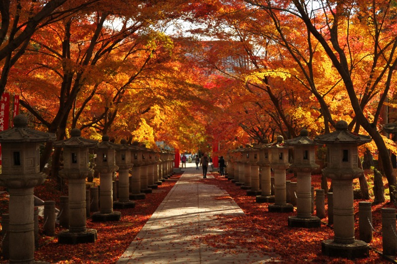 13紅葉 丹波市 高山寺 気楽に撮ろうぜ